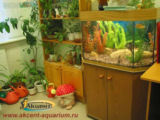 Акцент-аквариум,аквариум 160 литров панорама в детском саду